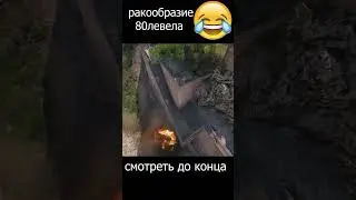 ракообразие 80 левела смотреть до конца #мем #эдит #раки #ракообразие #леха_снайпер
