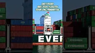Ever Forever-Built 2020, 11,850teu, 334m long, Panama flag🇵🇦 #Evergreen #EverForever #ContainerShip