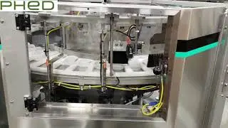 scallop feeder 2