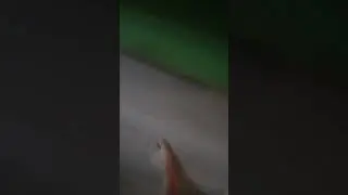 Какой диванчик зелёный!