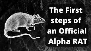 How to become an Alpha in Conan | Official Servers | Rat Edition I.