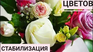 Flower stabilization, how to stabilize flowers, my experience