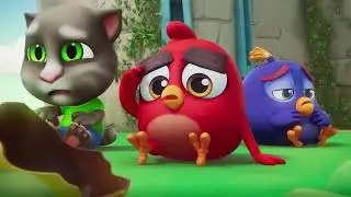 Talking Tom x Angry Birds All Ads