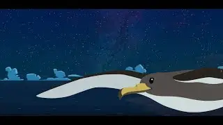 SOS Shearwaters