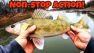 CRAZY River WALLEYE Action!