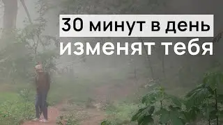 В чем сила прогулок на природе?