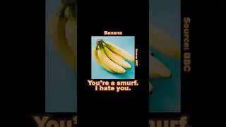 What Your Discord Profile Picture Says About You (Part 3)