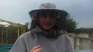 Кормим пчел в любое время, как? Легко и просто...