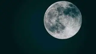 Korrekter Kollege - Moonshine