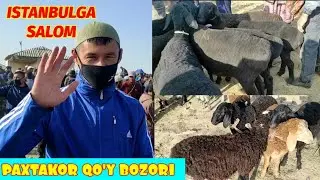 JIZZAX PAXTAKOR QO'Y BOZORI NARXLAR 🐑🐐🐏