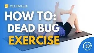 How to Do a Dead Bug Exercise | 30 Seconds | Physical Therapy | MedBridge