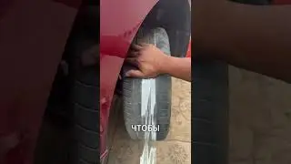 This boy would probably have punctured his owner's tire.