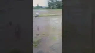 36 школа Комсомольска на Амуре полное видео смотрите в телеграмм ссылка в описании профиля