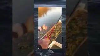 ga nyangka dapetnya segitu #lucu #memes #meme #shortvideo #vidiotiktok #viral #ngakak #vidiomeme