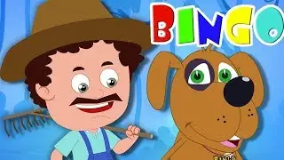 bingo la chanson chien comptines chansons préscolaires Poems For Babies Kids Rhymes Bingo The Dog