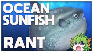 Why I Hate the Ocean Sunfish