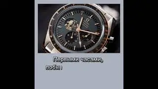 #интересные факты