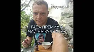 ТАЙВАНЬ и мой ГАБА. Чайная Сессия на Вулканах 🌋 Голодные Духи и Феншуй