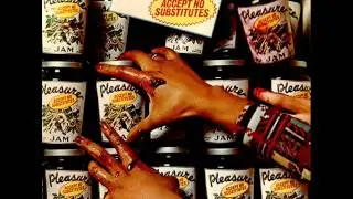 Pleasure - The Love of My Life