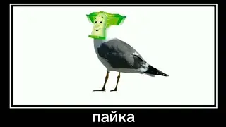 Фиксики + ШИЗА