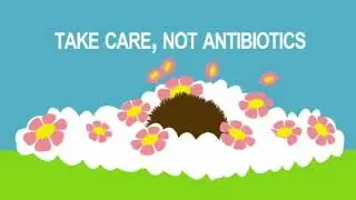ab Hedgehog