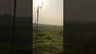 Nss এর camp এর গিয়ে বেশ মজা করলাম/খুব সুন্দর#trending #food #viral #shorts