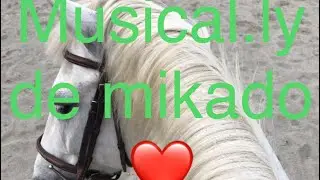 Musical.ly de Mikado ❤️❤️❤️❤️❤️❤️❤️