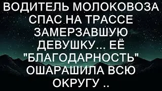 Водитель молоковоза спас на трассе замерзавшую девушку... Её "благодарность" ошарашила всю округу