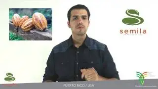 Semila - Puerto Rico, USA