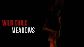Wild Child - Meadows [Legendado/Tradução]