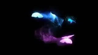 ||Butterfly 🦋 effect to Alight motion ||  Butterfly Best effect 🦋 ||  