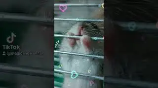 наш Живчик 💖