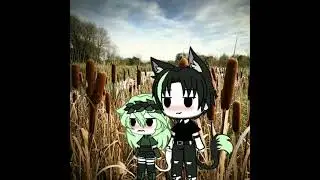 мы забрались в камыши{meme}{Gacha life}