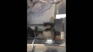 Кривая груша