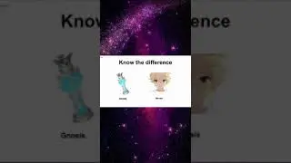 Memes | Genshin Impact | 
