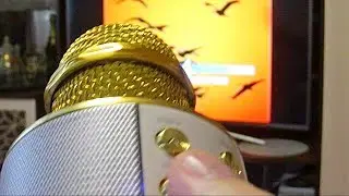 How to connect a karaoke microphone to the TV