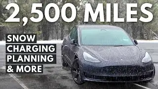 2,500 Mile Road Trip in a Tesla Model 3 [PROS and CONS]