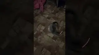 Вот это СУШНЯК 😎😎