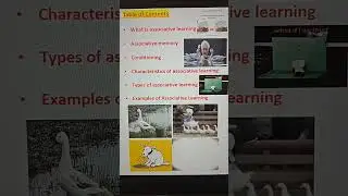 The Science Behind How Animals Learn through Association#msc #shorts #youtubeshorts #viral #ethology