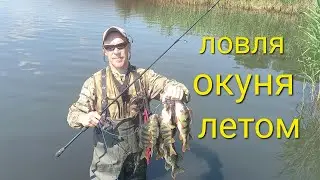 Ловля окуня летом. Спиннинг в июле. Окунь на вертушки.