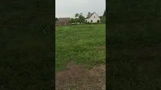 Гуси, гуси-га, га, га