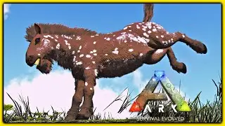 These Equus Look Amazing! Equus Taming! - Crafting up Tools and Weapons - Ark - Caballus Map - Ep 2!