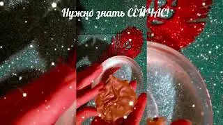 ❗Что нужно знать СЕЙЧАС?!❗