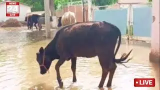 СУВ ТОШГАН ЙЕРЛАР СИЗ КУРМАГАН КАДИРЛАР.. САРДОБА..