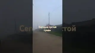 корова моё хозяйство