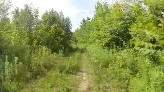 Level 1 Back of the Park