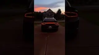 Sounds Like Freedom 🦅 #345 #mopar #dodgechargers #automobile #chargerrt #hemicharger #charger