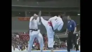 KYOKUSHIN JODAN MAWASHI GERI