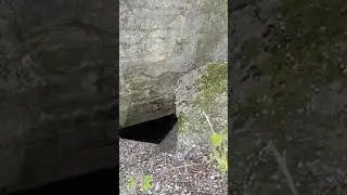 Прогулка по дотам недалеко от Бреста
