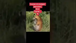 #мем #shorts